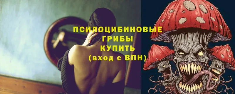 Галлюциногенные грибы MAGIC MUSHROOMS  продажа наркотиков  Камызяк 